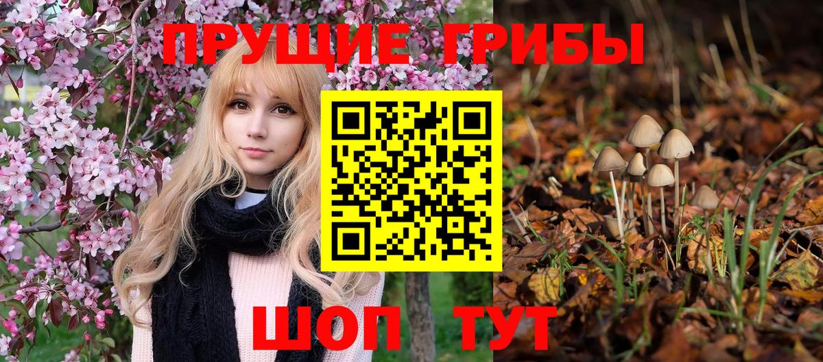 Сухой Лог  Галлюциногенные грибы GOLDEN TEACHER  Вход с VPN 