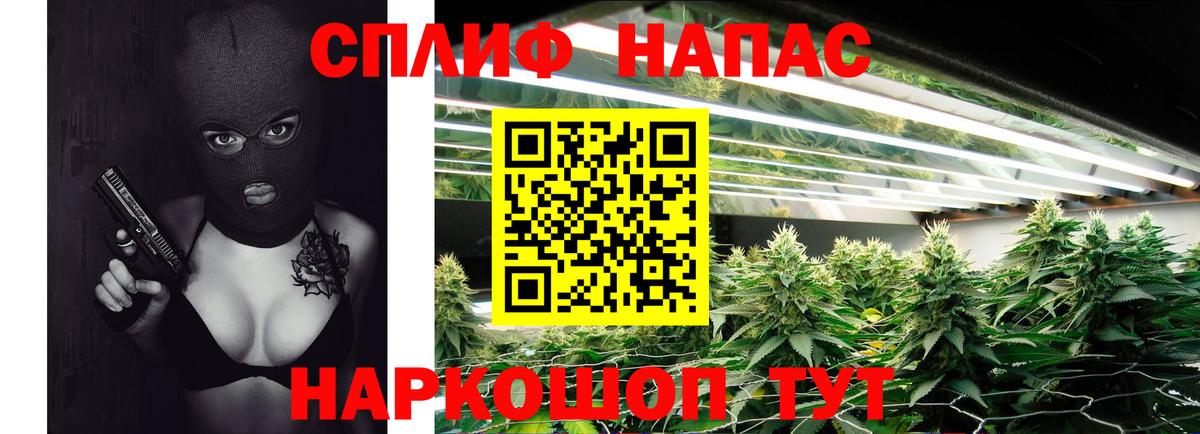 Марихуана Amnesia  Марихуана индика  Марихуана индика  Сухой Лог  Каннабис индика  Вход с VPN 